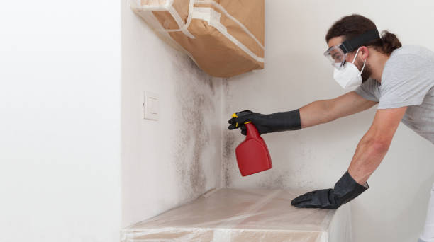 Professional Mold Removal technician working in Gasburg, VA
