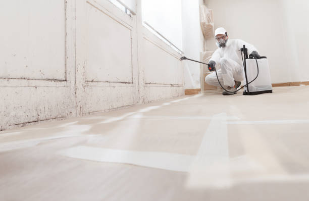 24/7 Emergency Mold Removal experts in Gasburg, VA