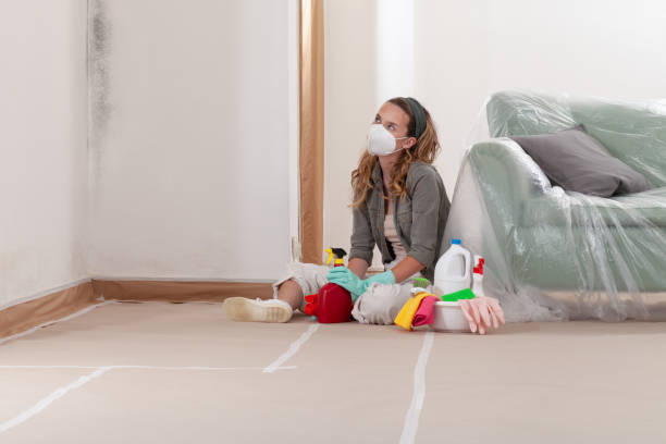 Reliable Mold Removal contractor in Gasburg, VA by 24 Hour Mold Removal
